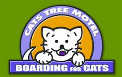 Cats Tree Motel