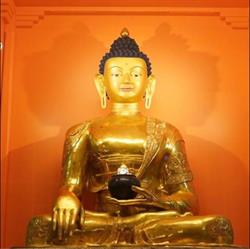 Buddhist Tara Institute