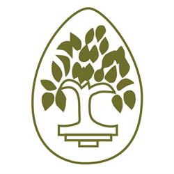 Rozelle Acupuncture and Chinese Medicine Centre