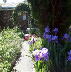 Lucky Lodge & Scraps Garden Boarding Cattery