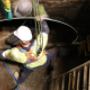 Uploaded by visitor on 16/12/2016 - Confined Space Entry