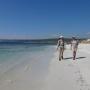 Walking the Cape to Cape Track