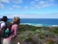 Cape to Cape Walking Holiday