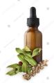 Australian Bush Flower Essences