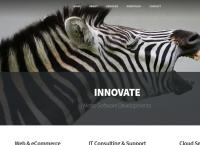 Metro Software Developments