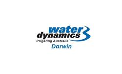Water Dynamics