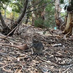 Willunga Environment Center Inc