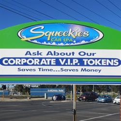 Squeekies Car Spa