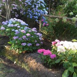 Adelaide Hills Bed & Breakfast Accommodation