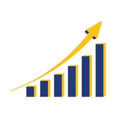 Business Solutions Taxation Consultants