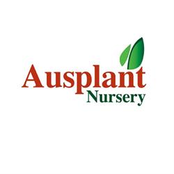 Ausplant Nursery
