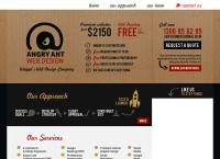 Angry Ant Web Design's website