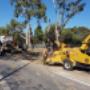 Tree removal for Commercial & residential.