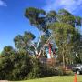 Making the playground safe at this primary school in Noble Park.
