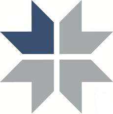 V I Partners Pty Ltd