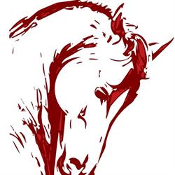 the Edge Equine Pty Ltd