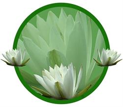 The Floating Lily, Meditation instructor and Chiron Healing® teacher in Goulburn, New South Wales.