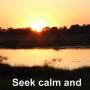 Seek calm and ...