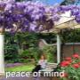 peace of mind