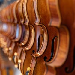 Bows for Strings