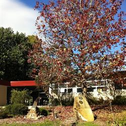 Labertouche Primary School