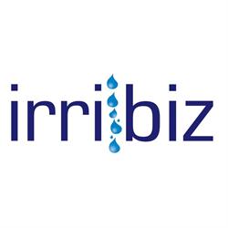 Irribiz
