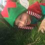 Uploaded by visitor on 6/12/2016 - The elf found the perfect tree!!