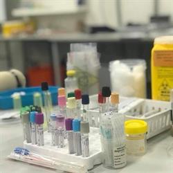 W a School Of Pathology