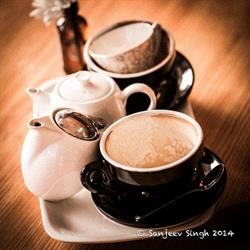Sycamore Tree Coffee Shop