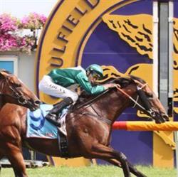 Vinery Stud Pty Ltd