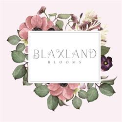 Blaxland Blooms