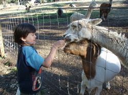 Country Life Farm Dunsborough
