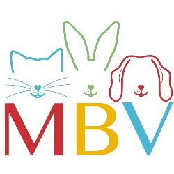 Middle Brighton Vet