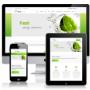 Website Design