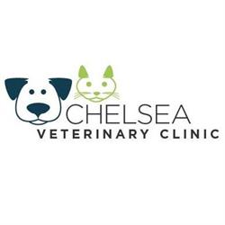 Chelsea Veterinary Clinic