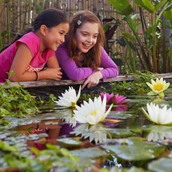 Woodvale Fish and Lily Farm