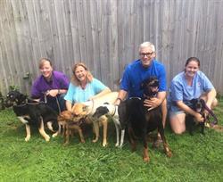 Alstonville Veterinary Hospital