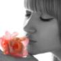 Organic Hairdresser Brisbane