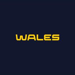 Wales Heavy Vehicle Repairs Perth