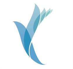 Swansea Dental Practice