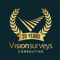 Vision Surveys Consulting