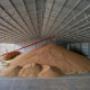 Bulk Grain Storage