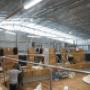Shearing Shed