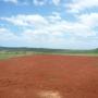 Red Soil