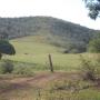 Rolling Hills