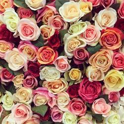 Antique Rose Florist