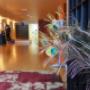 Uploaded by visitor on 19/9/2016 - ASMY - beautiful interior