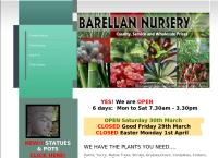 Barellan Nursery, Design & Landscaping's website