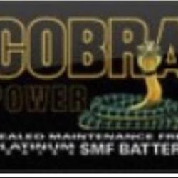 Battery King Australia Pty Ltd