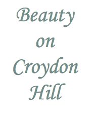 Beauty On Croydon Hill